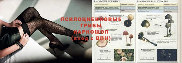 кокаин Алексеевка