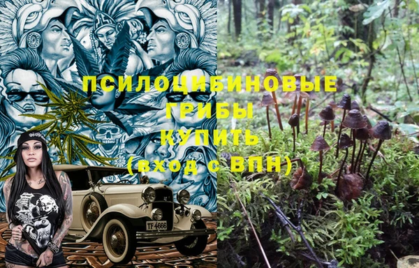кокаин Алексеевка