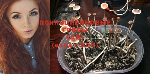 гашиш Абинск