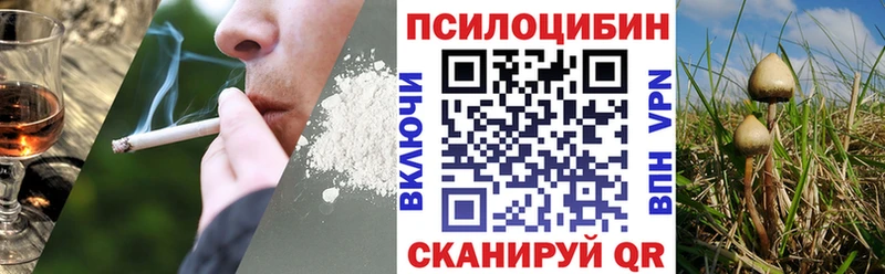 MEGA маркетплейс Стерлитамак Псилоцибиновые грибы прущие грибы shop официальный сайт купить